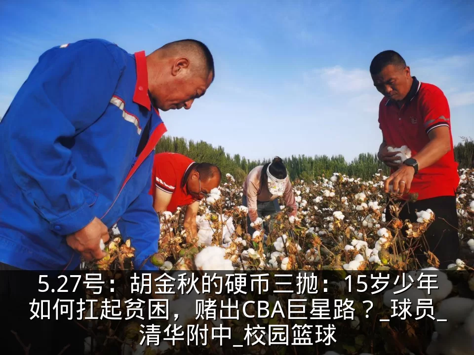 5.27号:胡金秋的硬币三抛:15岁少年如何扛起贫困,赌出CBA巨星路?_球员_清华附中_校园篮球